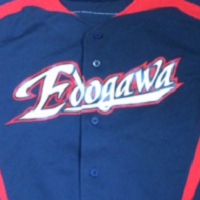 2017logo3.jpg